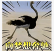1631586747(1).png