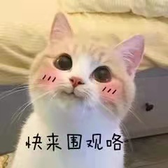 1631926021900074298.jpg 7e285baf0173c71bf24a9a06f8e8888.jpg